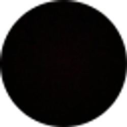Profile photo of Ramone Walters