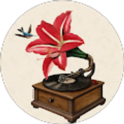 Profile photo of Arianna Arreola