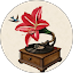 Profile photo of Arianna Arreola