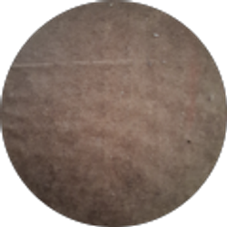 Profile photo of Bertha Johnson