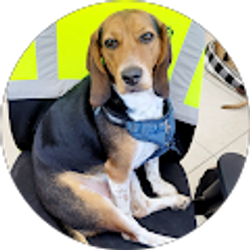 Profile photo of Lauren Wilson