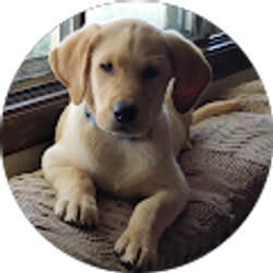 Profile photo of Vicki and Anthony