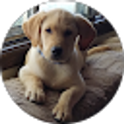 Profile photo of Vicki and Anthony