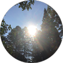 Profile photo of SomethingBeautiful