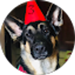 Profile photo of Alex Vella