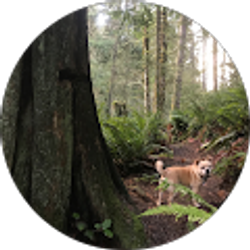 Profile photo of fred brewer