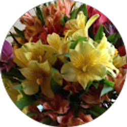 Profile photo of Janet Ellis