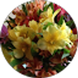 Profile photo of Janet Ellis