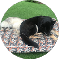 Profile photo of Marlene Gardiner