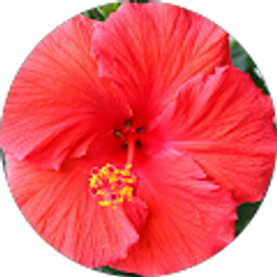 Profile photo of S Carr