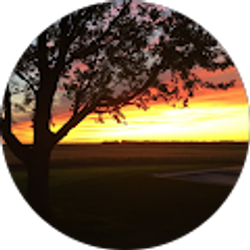 Profile photo of Travis Huls