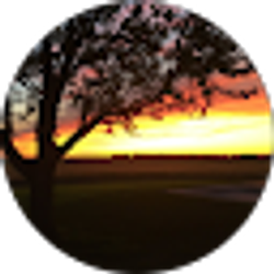 Profile photo of Travis Huls
