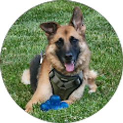 Profile photo of Krissie Krsolovic