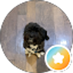 Profile photo of jacob jackson
