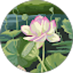 Profile photo of Irene Y