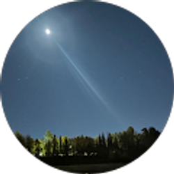 Profile photo of Lotus Redfox