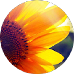 Profile photo of Christina Barclay