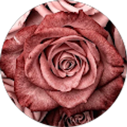 Profile photo of Christie Lara