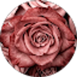 Profile photo of Christie Lara