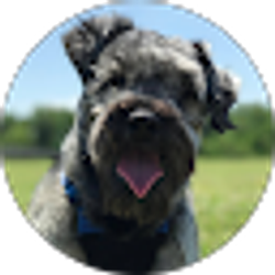 Profile photo of Daniel Ramirez