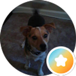 Profile photo of Not A penny