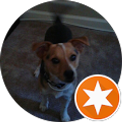 Profile photo of William