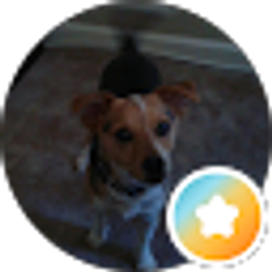 Profile photo of Not A penny