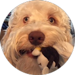 Profile photo of Candis Jones