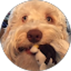 Profile photo of Candis Jones