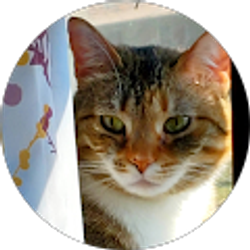 Profile photo of Cyndy S