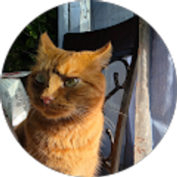 Profile photo of Erik White