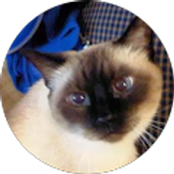 Profile photo of Grace Waitman