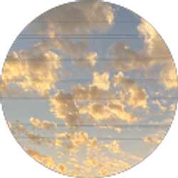 Profile photo of Marisol Munguia