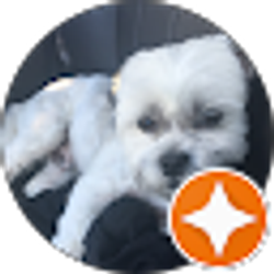 Profile photo of Sal Caruso