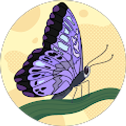 Profile photo of Jody Burgin