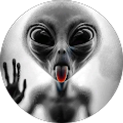 Profile photo of Chris