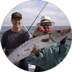 Profile photo of Steve TheGuy