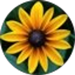 Profile photo of Jackie Fewell