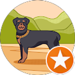 Profile photo of Lynn Doc