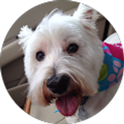 Profile photo of Richard McLean