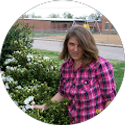 Profile photo of Tracy Tibbs