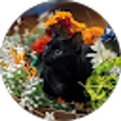 Profile photo of Justin Barbier