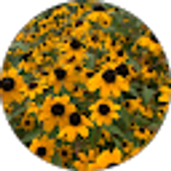 Profile photo of Connie King