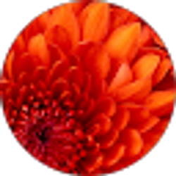 Profile photo of Margi Hatch