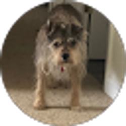 Profile photo of Jacqueline Wiley
