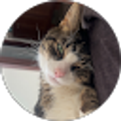 Profile photo of shalon strong