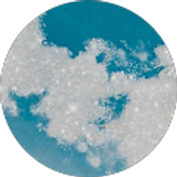 Profile photo of Sharon