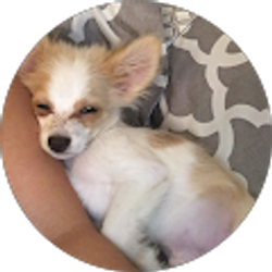 Profile photo of Danielle Durney