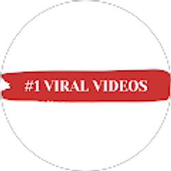 Profile photo of Andy Bui