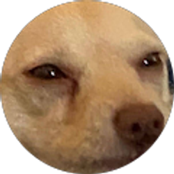 Profile photo of mitchell a.